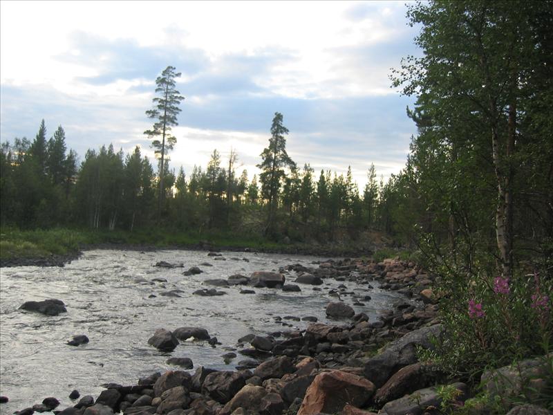 Sweden 2006-04 137